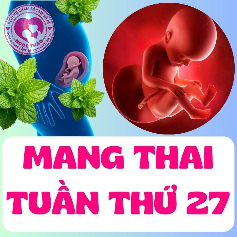 Mang thai tuần thứ 27 em bé phát triển thế nào?